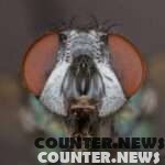 Parasite That Eats Animals and Humans Alive 2